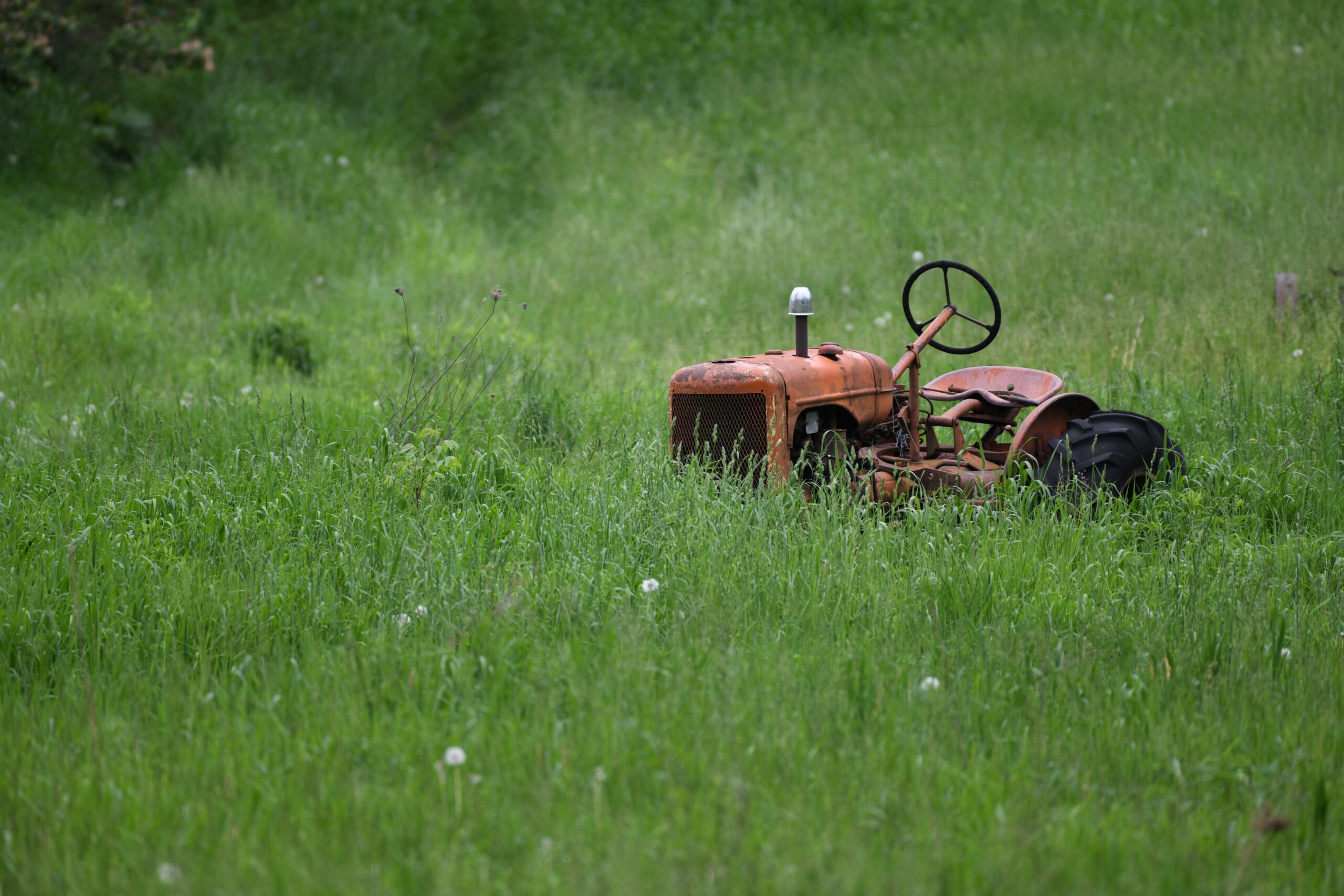 What is the Average Lifespan of a Riding Lawn Mower