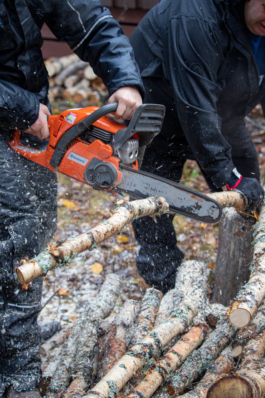 lumberjack sawing birch branch